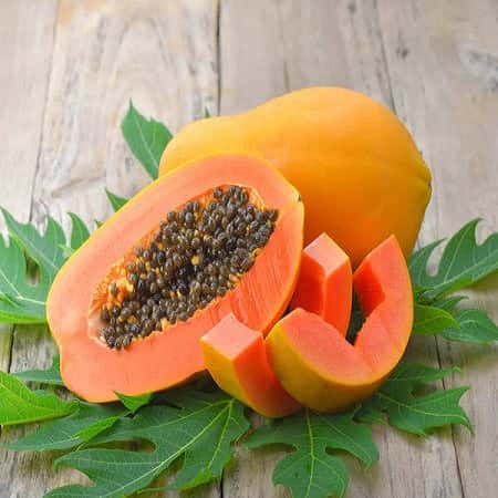 Papaya